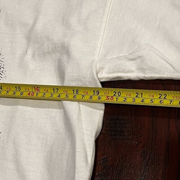 Edgar Allan Poe Hanes Beefy T Size Medium T-Shirt Poe Museum Virginia - Picture 3 of 8